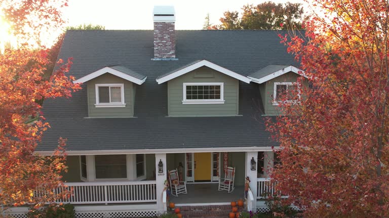 Best Skylight Installation and Repair  in Port Richey, FL