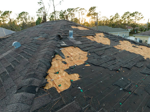 Trusted Port Richey, FL Roofing Service Experts