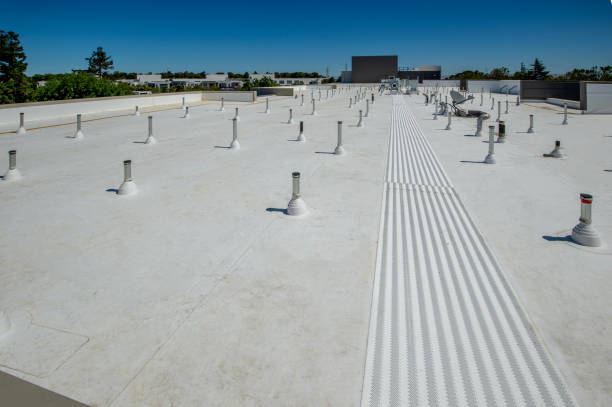 Best Asphalt Shingles Roofing  in Port Richey, FL